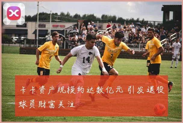 卡卡资产规模约达数亿元 引发退役球员财富关注